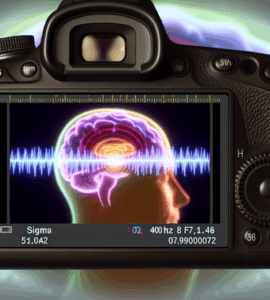 alt_text: A serene cover depicting a brain illuminated by 40 Hz gamma waves, enhancing memory themes.