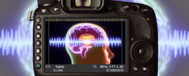 alt_text: A serene cover depicting a brain illuminated by 40 Hz gamma waves, enhancing memory themes.